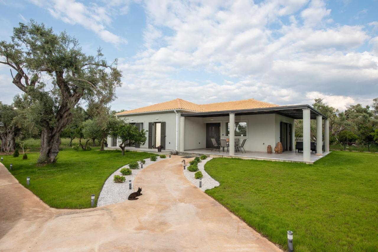 Aerinos Private Villa Lefkada City Ngoại thất bức ảnh