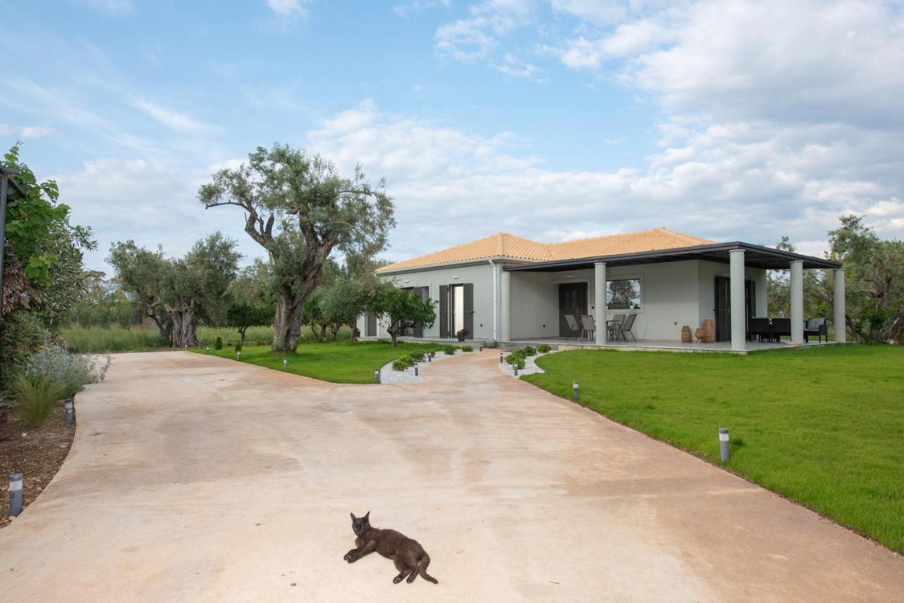 Aerinos Private Villa Lefkada City Ngoại thất bức ảnh