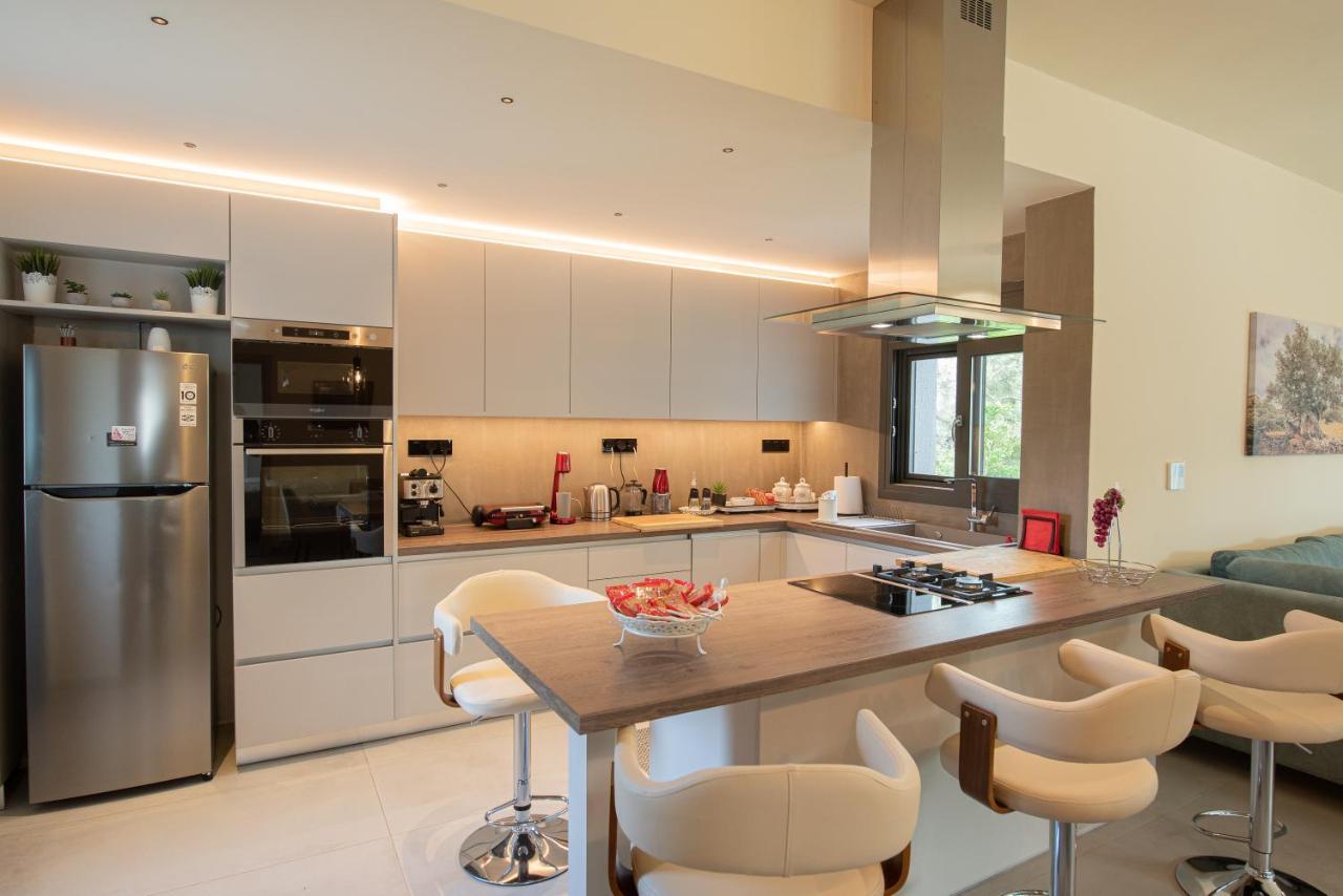 Aerinos Private Villa Lefkada City Ngoại thất bức ảnh
