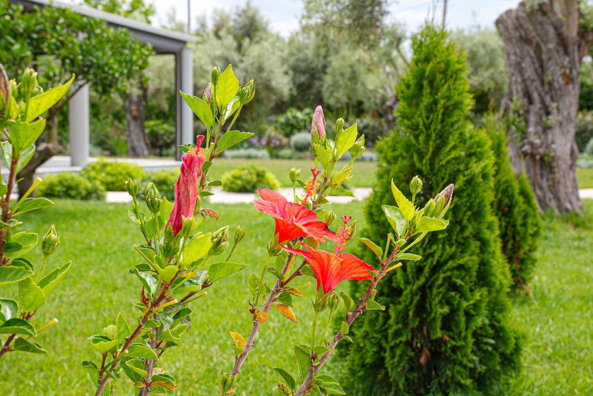 Aerinos Private Villa Lefkada City Ngoại thất bức ảnh